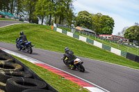 cadwell-no-limits-trackday;cadwell-park;cadwell-park-photographs;cadwell-trackday-photographs;enduro-digital-images;event-digital-images;eventdigitalimages;no-limits-trackdays;peter-wileman-photography;racing-digital-images;trackday-digital-images;trackday-photos